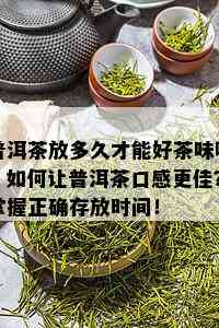 普洱茶放多久才能好茶味呢，如何让普洱茶口感更佳？掌握正确存放时间！