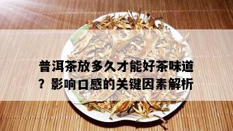 普洱茶放多久才能好茶味道？影响口感的关键因素解析