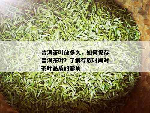 普洱茶叶放多久，如何保存普洱茶叶？了解存放时间对茶叶品质的影响