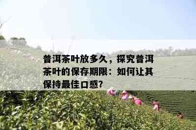 普洱茶叶放多久，探究普洱茶叶的保存期限：如何让其保持更佳口感？