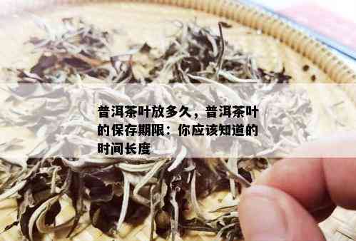 普洱茶叶放多久，普洱茶叶的保存期限：你应该知道的时间长度