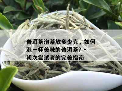 普洱茶泡茶放多少克，如何泡一杯美味的普洱茶？- 初次尝试者的完美指南