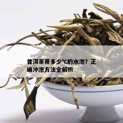 普洱茶用多少℃的水泡？正确冲泡方法全解析