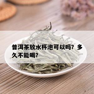 普洱茶放水杯泡可以吗？多久不能喝？