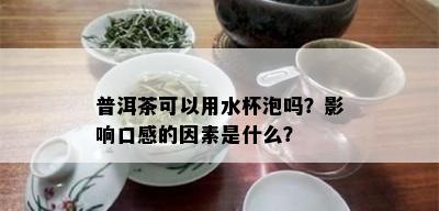 普洱茶可以用水杯泡吗？影响口感的因素是什么？