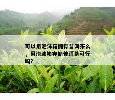 可以用泡沫箱储存普洱茶么，用泡沫箱存储普洱茶可行吗？