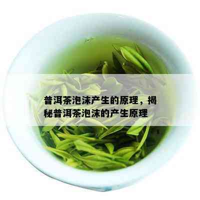 普洱茶泡沫产生的原理，揭秘普洱茶泡沫的产生原理