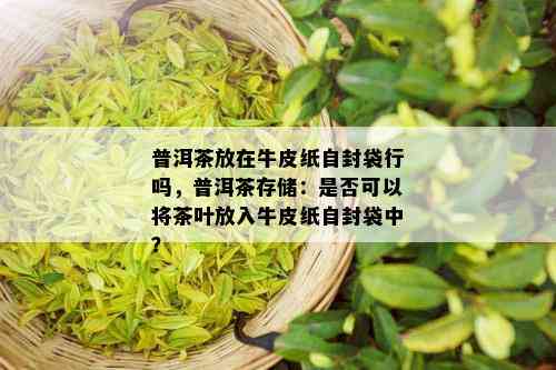 普洱茶放在牛皮纸自封袋行吗，普洱茶存储：是否可以将茶叶放入牛皮纸自封袋中？