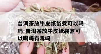 普洱茶放牛皮纸袋煮可以喝吗-普洱茶放牛皮纸袋煮可以喝吗有吗