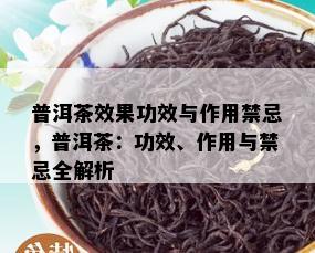 普洱茶效果功效与作用禁忌，普洱茶：功效、作用与禁忌全解析