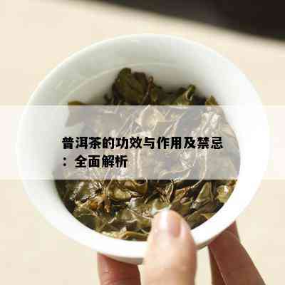 普洱茶的功效与作用及禁忌：全面解析