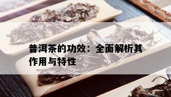 普洱茶的功效：全面解析其作用与特性