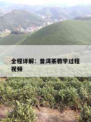 全程详解：普洱茶教学过程视频