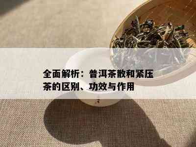 全面解析：普洱茶散和紧压茶的区别、功效与作用