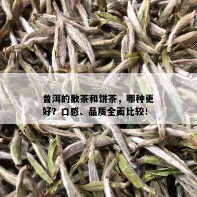 普洱的散茶和饼茶，哪种更好？口感、品质全面比较！