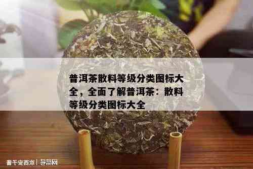 普洱茶散料等级分类图标大全，全面了解普洱茶：散料等级分类图标大全