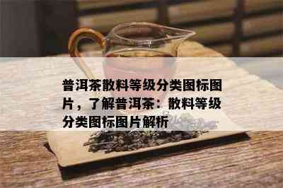 普洱茶散料等级分类图标图片，了解普洱茶：散料等级分类图标图片解析