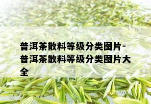 普洱茶散料等级分类图片-普洱茶散料等级分类图片大全