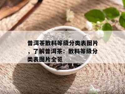 普洱茶散料等级分类表图片，了解普洱茶：散料等级分类表图片全览