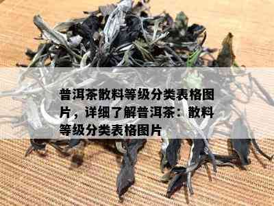 普洱茶散料等级分类表格图片，详细了解普洱茶：散料等级分类表格图片