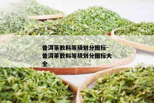 普洱茶散料等级划分图标-普洱茶散料等级划分图标大全