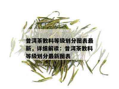 普洱茶散料等级划分图表最新，详细解读：普洱茶散料等级划分最新图表