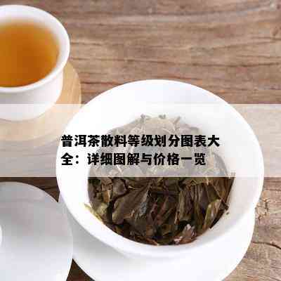 普洱茶散料等级划分图表大全：详细图解与价格一览