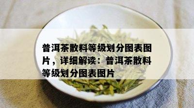 普洱茶散料等级划分图表图片，详细解读：普洱茶散料等级划分图表图片