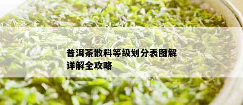 普洱茶散料等级划分表图解详解全攻略