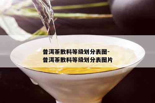 普洱茶散料等级划分表图-普洱茶散料等级划分表图片