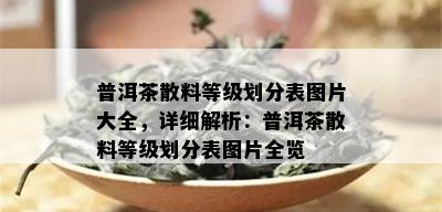 普洱茶散料等级划分表图片大全，详细解析：普洱茶散料等级划分表图片全览