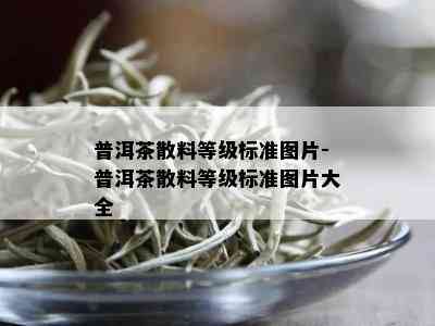 普洱茶散料等级标准图片-普洱茶散料等级标准图片大全