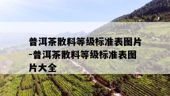 普洱茶散料等级标准表图片-普洱茶散料等级标准表图片大全