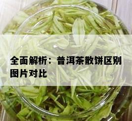 全面解析：普洱茶散饼区别图片对比