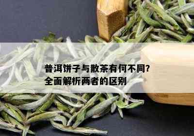 普洱饼子与散茶有何不同？全面解析两者的区别