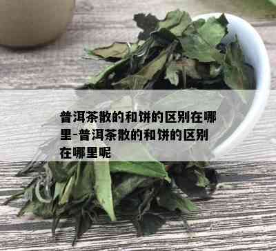 普洱茶散的和饼的区别在哪里-普洱茶散的和饼的区别在哪里呢