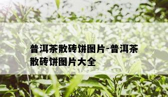 普洱茶散砖饼图片-普洱茶散砖饼图片大全