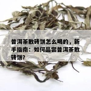 普洱茶散砖饼怎么喝的，新手指南：如何品尝普洱茶散砖饼？