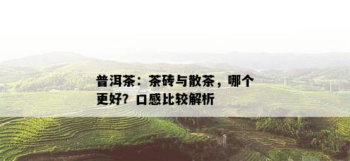 普洱茶：茶砖与散茶，哪个更好？口感比较解析