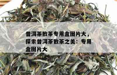 普洱茶散茶专用盒图片大，探索普洱茶散茶之美：专用盒图片大