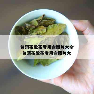 普洱茶散茶专用盒图片大全-普洱茶散茶专用盒图片大