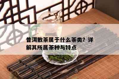 普洱散茶属于什么茶类？详解其所属茶种与特点