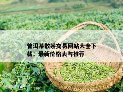 普洱茶散茶交易网站大全下载：最新价格表与推荐