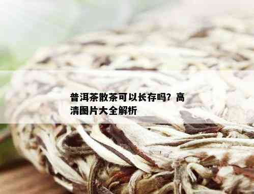 普洱茶散茶可以长存吗？高清图片大全解析