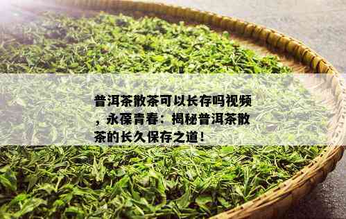 普洱茶散茶可以长存吗视频，永葆青春：揭秘普洱茶散茶的长久保存之道！