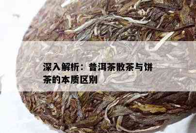 深入解析：普洱茶散茶与饼茶的本质区别