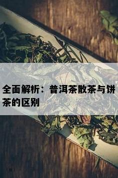 全面解析：普洱茶散茶与饼茶的区别