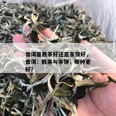 普洱是散茶好还是茶饼好，普洱：散茶与茶饼，哪种更好？