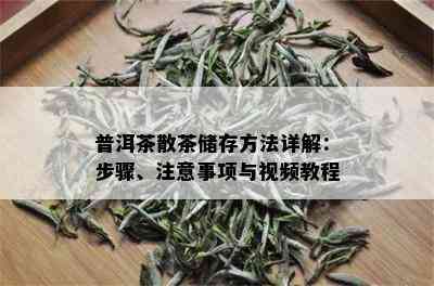 普洱茶散茶储存方法详解：步骤、注意事项与视频教程