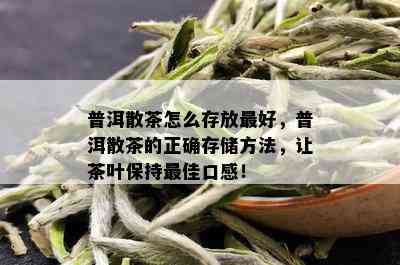 普洱散茶怎么存放更好，普洱散茶的正确存储方法，让茶叶保持更佳口感！